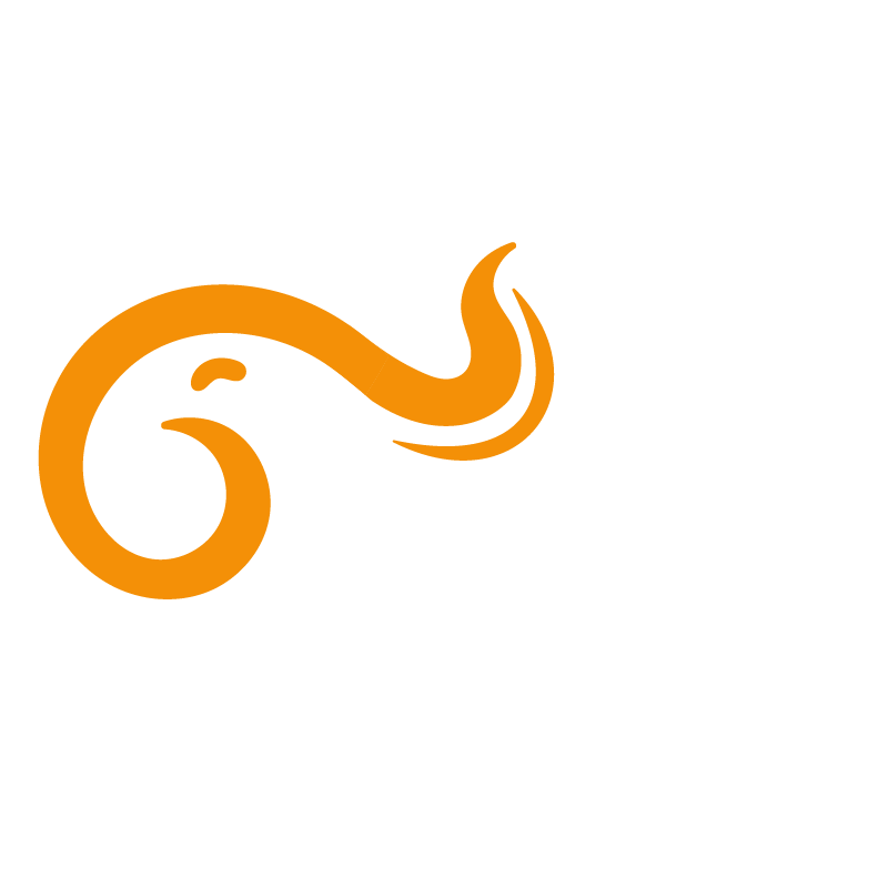 灵枢万象 - 金融科技与物联网软件开发服务